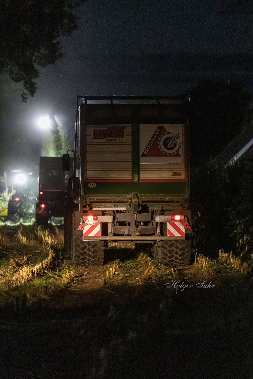 Bild 27 - Maisernte